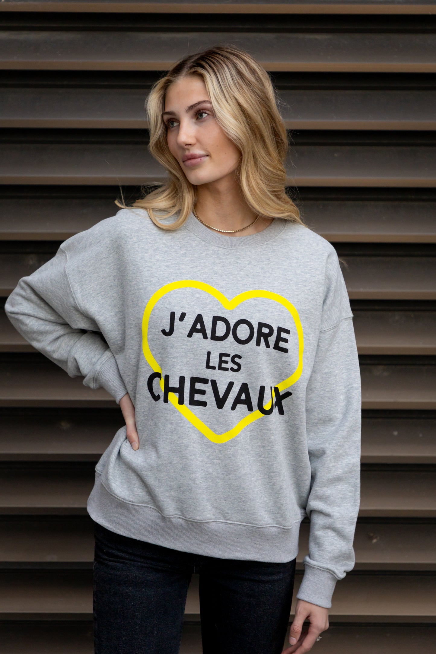 J'adore les Chevaux