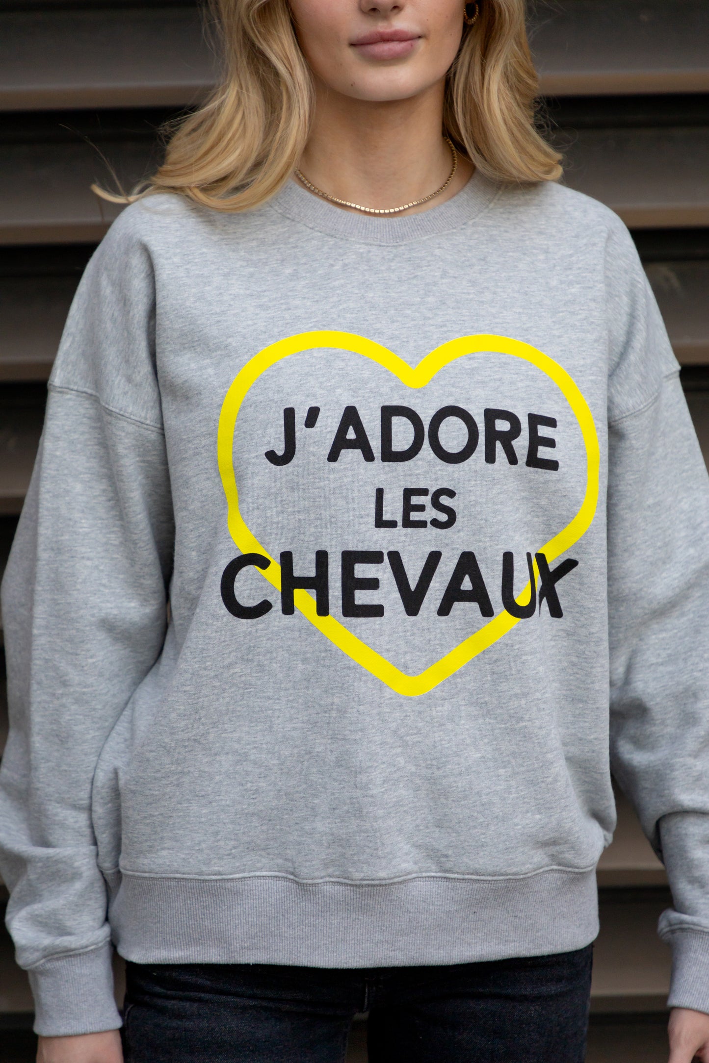 J'adore les Chevaux